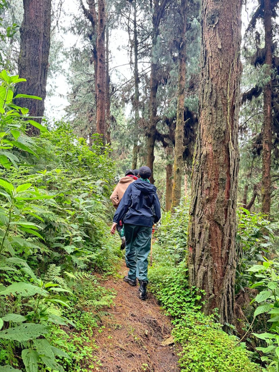 Highland walk