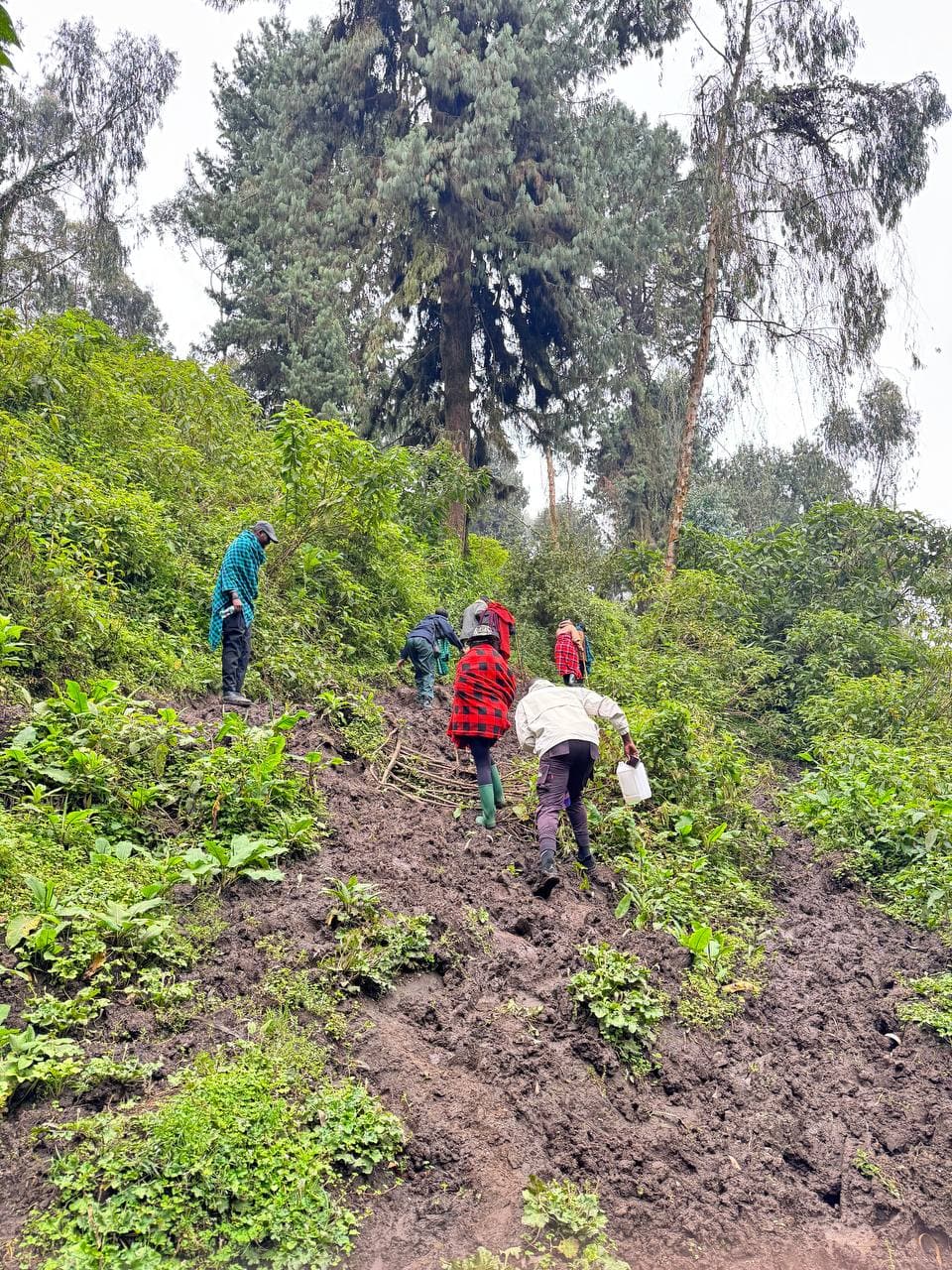 March expedition