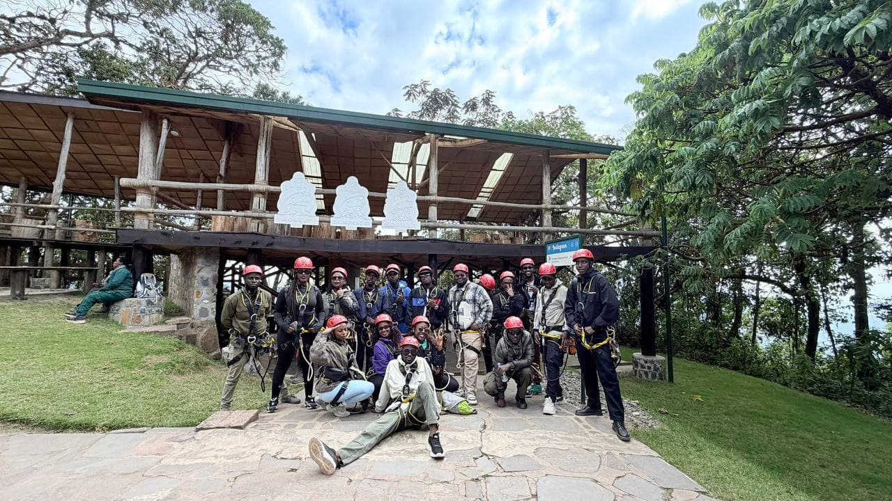 Nyungwe canopy
